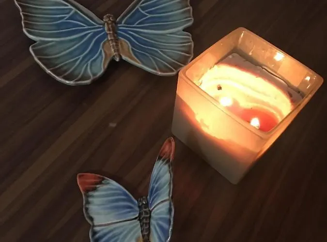 Garajau Terrace Adventure-pool And Free Parking Appartement