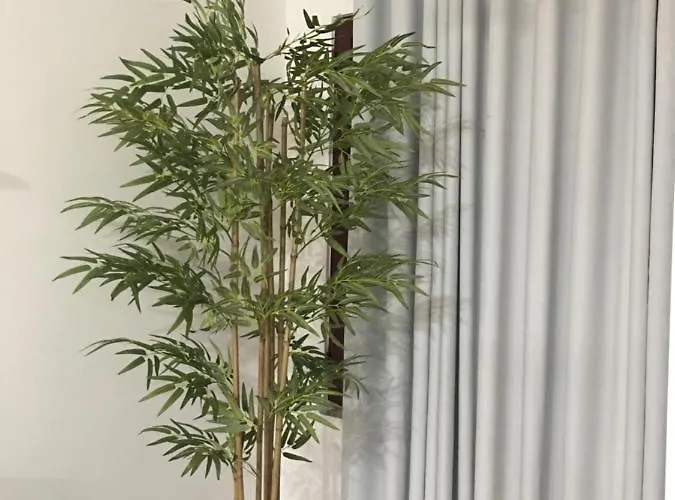 Garajau Terrace Apartment - Pool And Free Parking