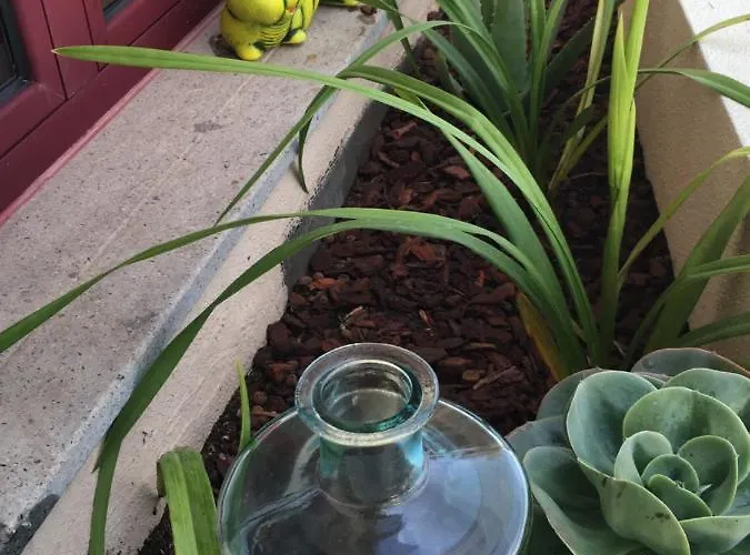 Appartement Garajau Terrace Adventure-pool And Free Parking Caniço